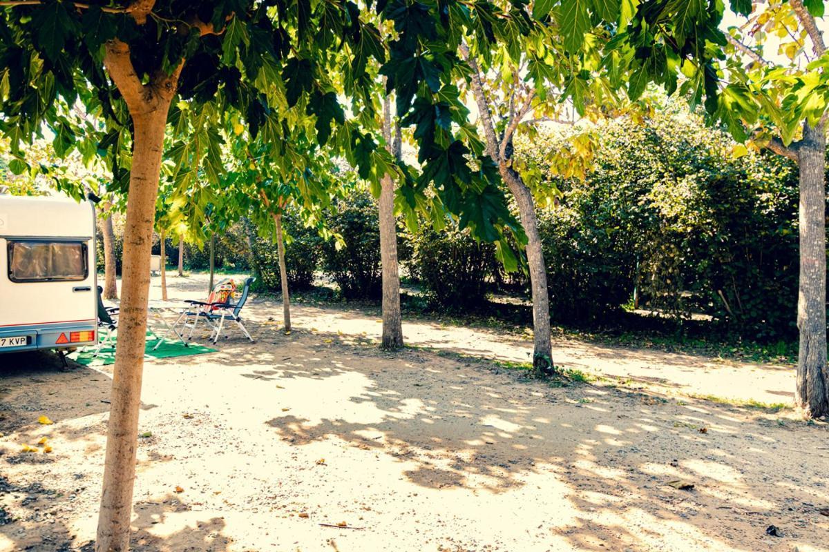Ecologic Vinyols Camp Hotel Vinyols i Els Arcs ภายนอก รูปภาพ