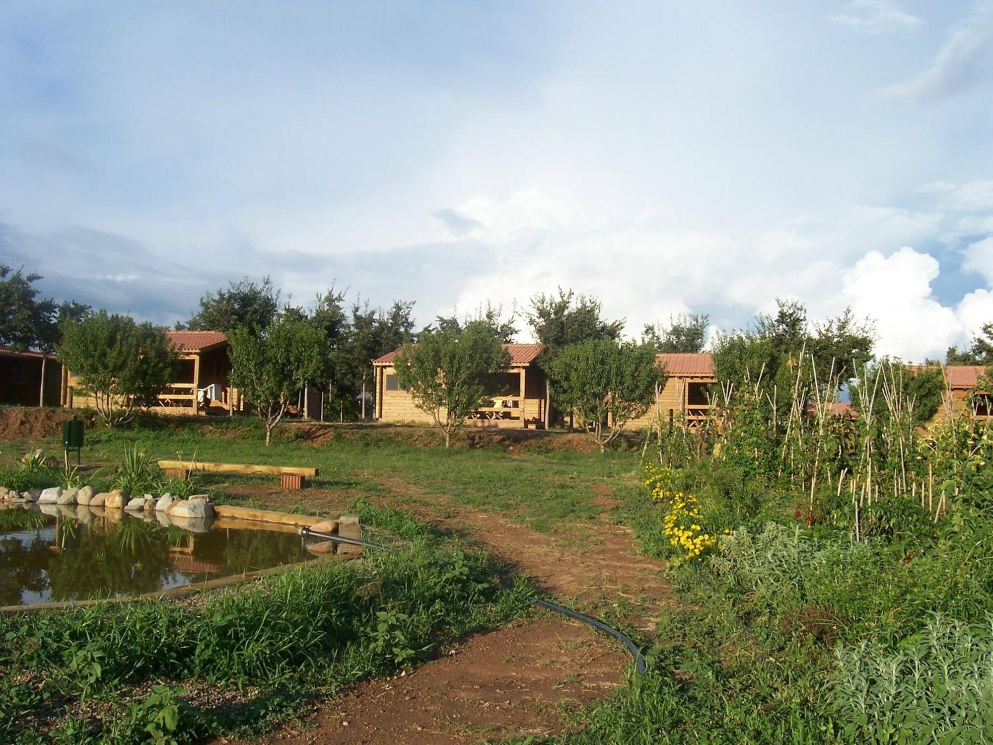 Ecologic Vinyols Camp Hotel Vinyols i Els Arcs ภายนอก รูปภาพ